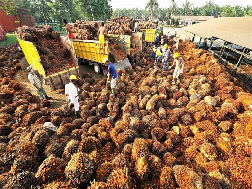 precio de la máquina de extracción de aceite de palma