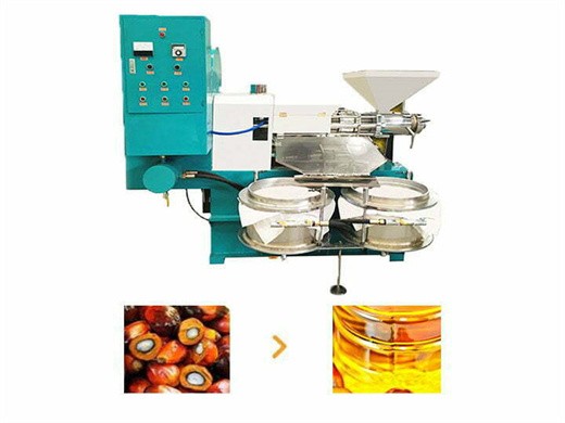 Máquina de extracción de aceite de semilla de fruta de palma completamente automática