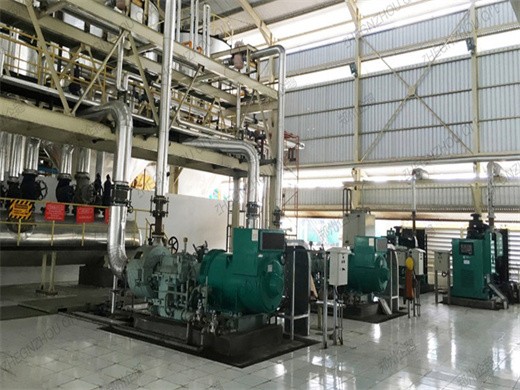 máquina de extracción de aceite de palmiste planta de refinería de aceite de soja