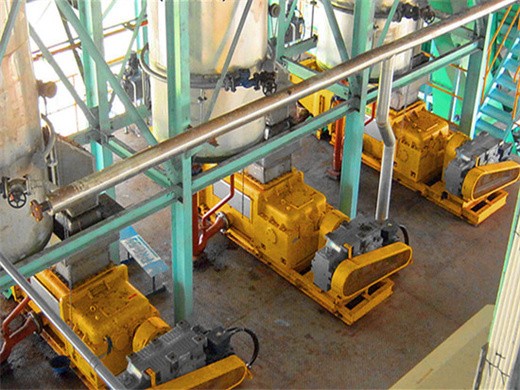 2015 máquina profesional de procesamiento de aceite de palma con Bolivia en Paraguay