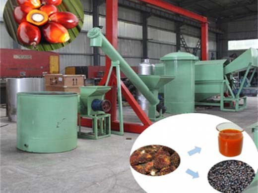 Producción de prensa de aceite hidráulico de frijol de fruta de palma de la mejor calidad 2017