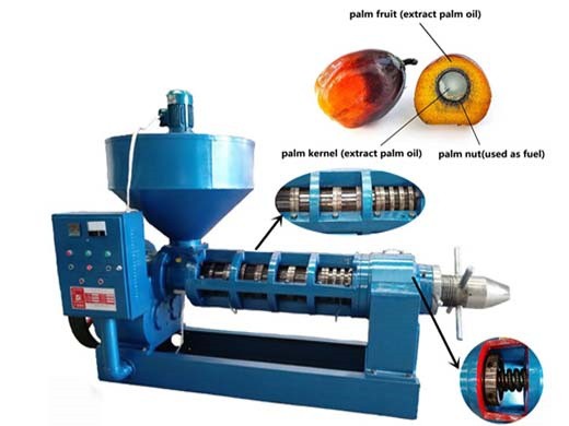 Máquina de procesamiento de aceite de palma de tornillo/prensado de aceite de palma en Venezuela