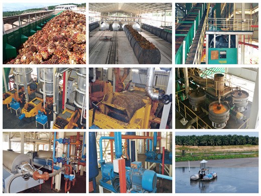 Línea de producción de aceite de palmiste venta caliente en Bolivia