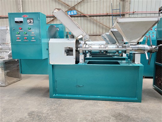Gran máquina europea de prensado en frío de aceite hj-p08 en Paraguay