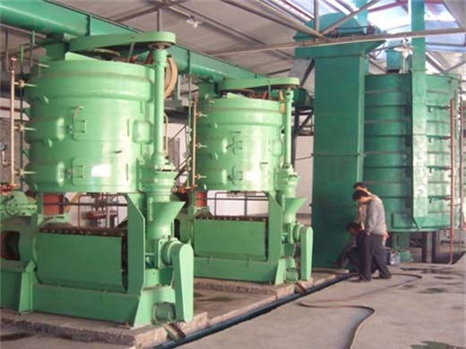Máquina de prensa de aceite grande, fría, duradera y de tensión constante