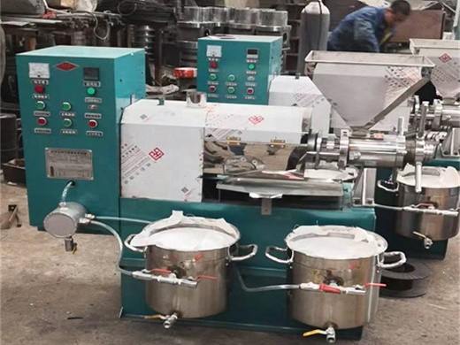 Nueva máquina de extracción de aceite prensado de sésamo en frío 6yz-150 en Perú