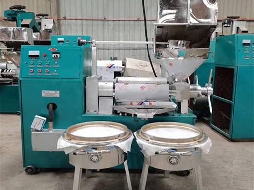 Máquina para fabricar aceite de sésamo y girasol, precio barato, 100 kg/h, 6yl-12