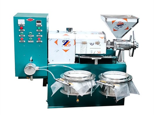 Gran máquina de prensa de aceite comercial en frío de 110v/220v con alto contenido de aceite