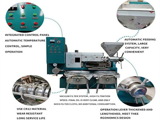 Máquina prensadora de aceite de maní de 40-60kg/hora con ahorro de energía en España